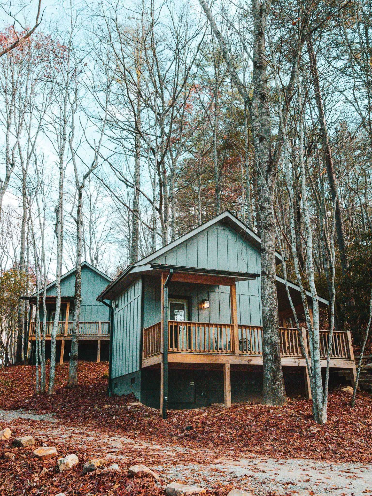 Grey cabins nestled in a wooded area with bare trees and a gravel driveway.
