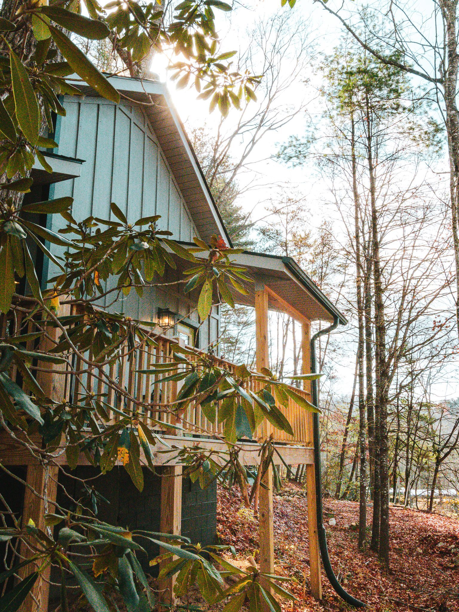 Serene cabin deck view.