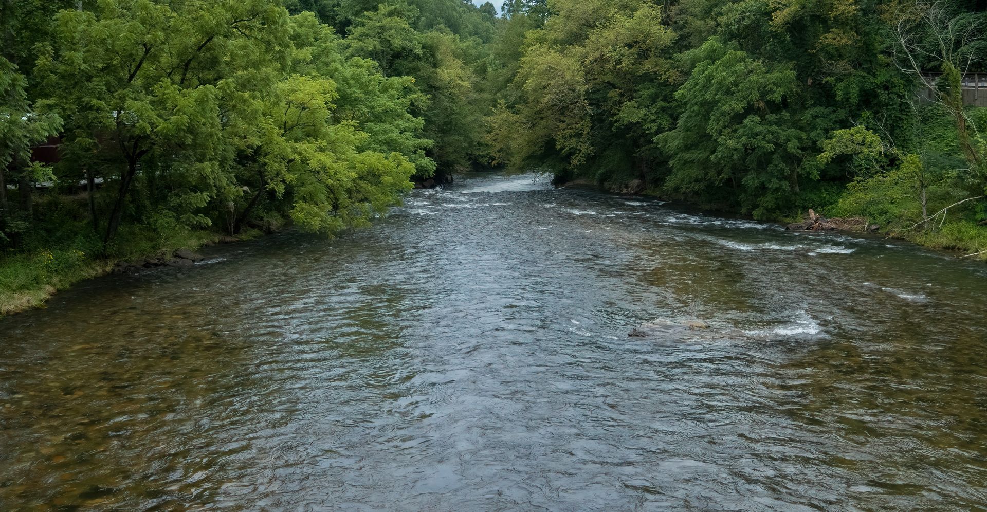 A river flows through a green forest, water is rippling.