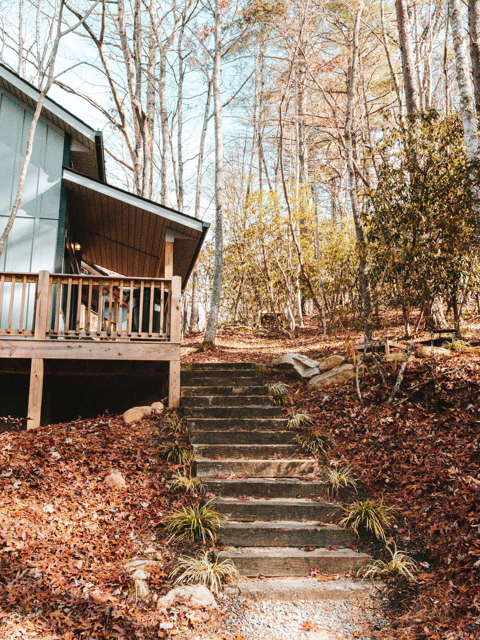Stone steps leading up to a cabin with a wooden porch, surrounded by trees and fallen leaves.
