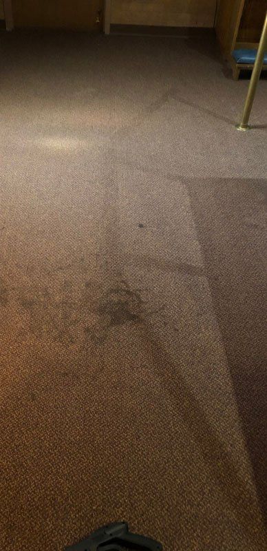 Gray Carpet Before – North Little Rock, AR – Revive