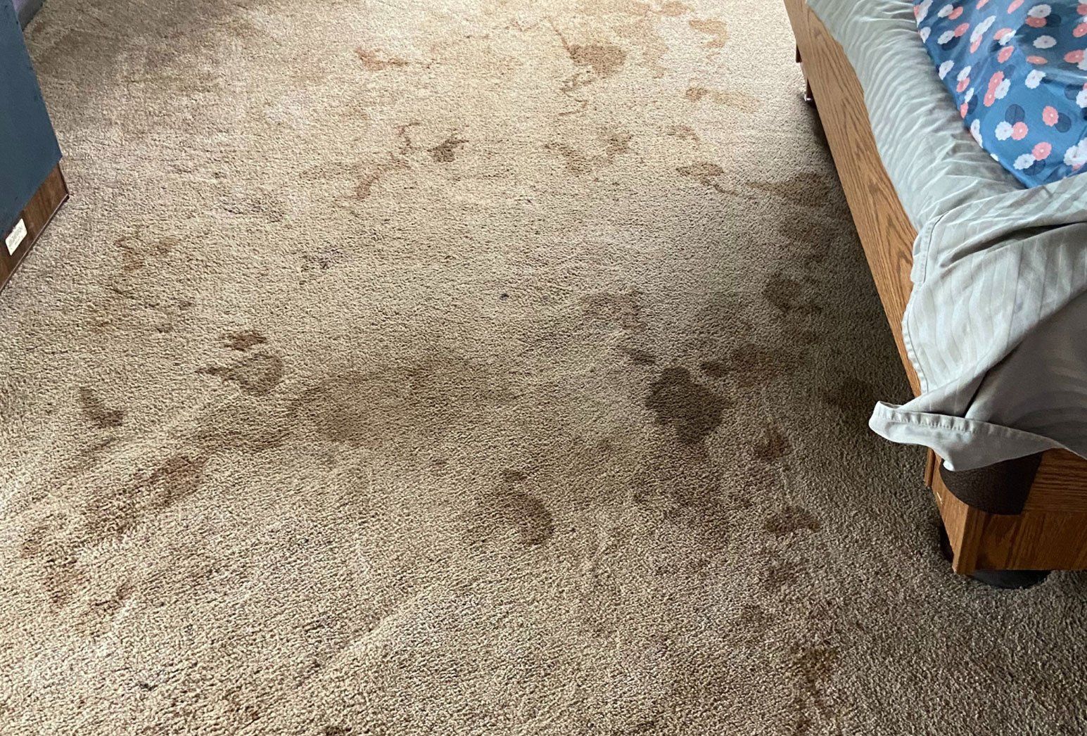 Carpet Under The Bed Before – North Little Rock, AR – Revive