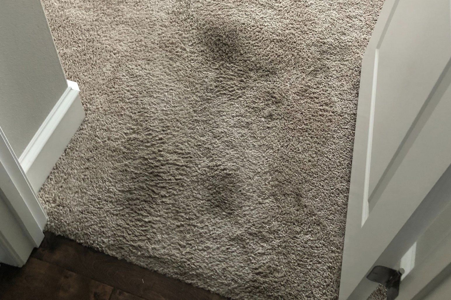 Carpet In A Room Before – North Little Rock, AR – Revive