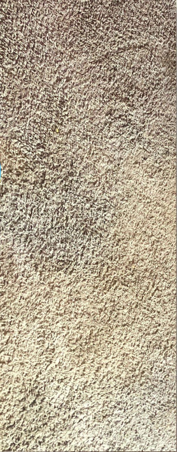 Light Brown Carpet Before – North Little Rock, AR – Revive