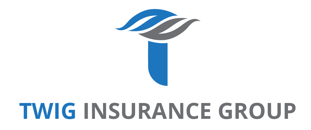 TWIG-Insurance_Final_NBG-01--281-29-384w