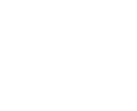 logo Architetto Virginia Tentori