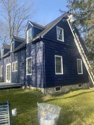 Blue house with white trim, ladder on roof, grassy yard.