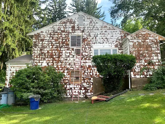 House with peeling paint on exterior wall; ladder propped against it; surrounded by greenery.
