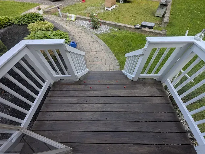 Wooden steps leading down, flanked by white railings, to a stone path and green lawn.