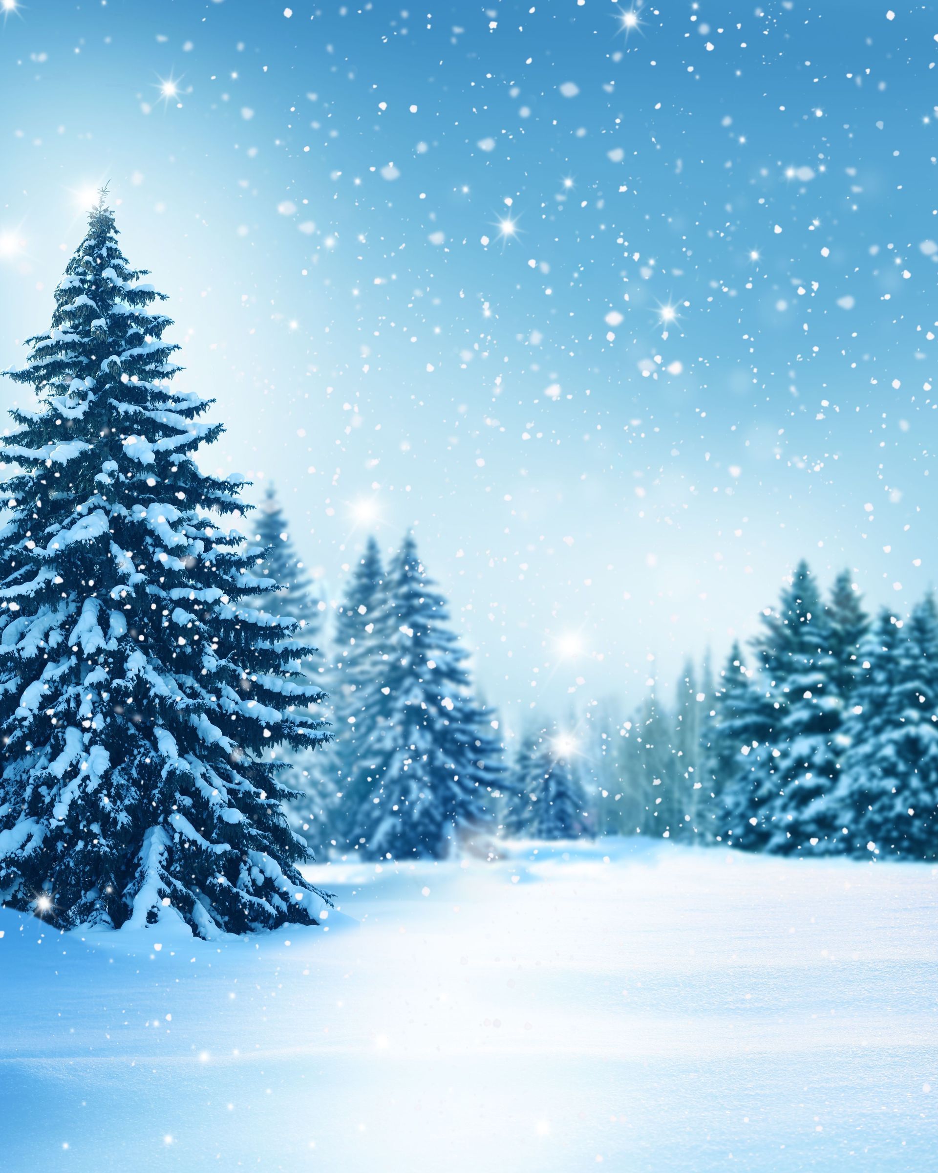 A snowy forest with trees covered in snow and snow falling
