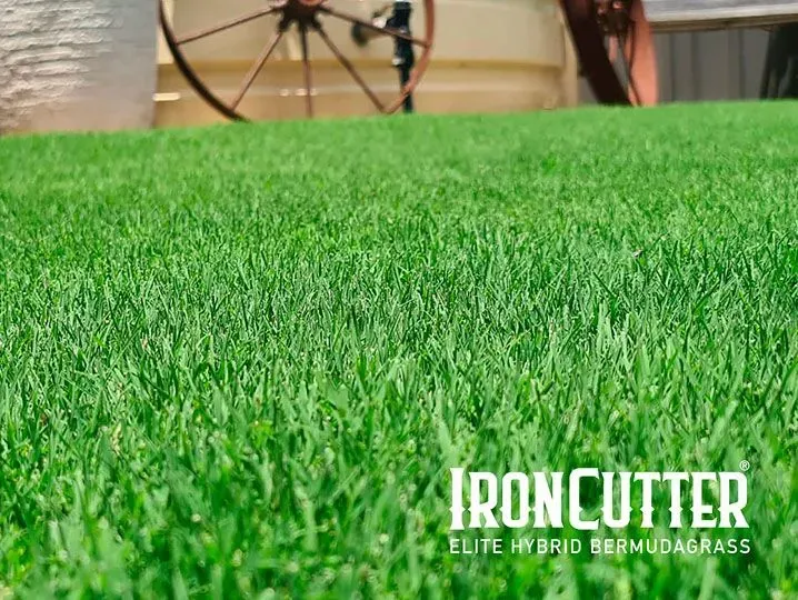 A Close Up of a Lush Green Lawn With Ironcutter Written on the Bottom — Wodonga Sand & Soil in Wodonga, VIC
