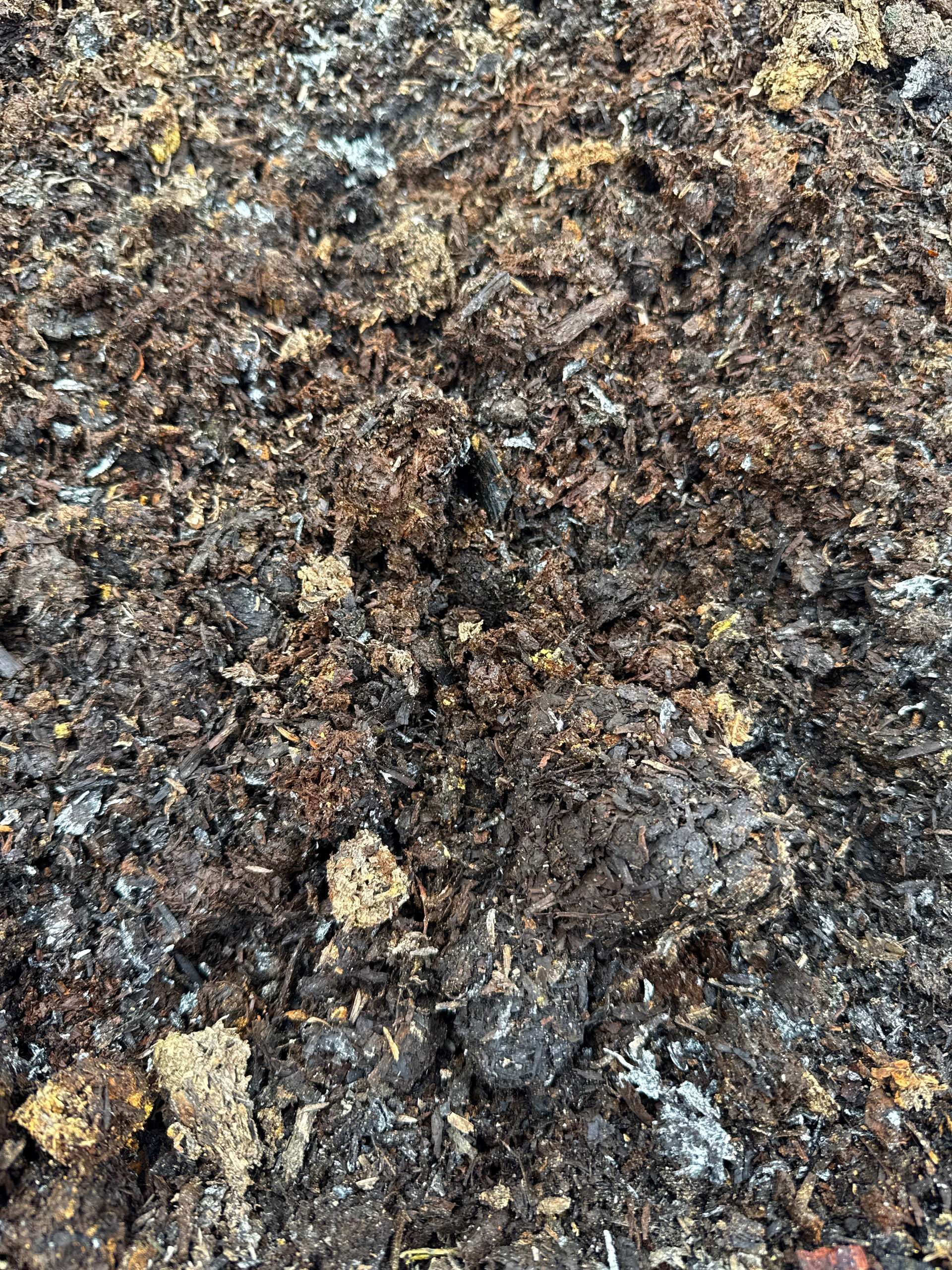 A Garden Filled With Rocks and Plants With a Fence in the Background — Wodonga Sand & Soil in Wodonga, VIC