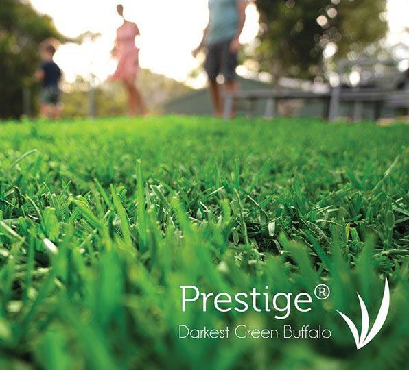 A Lawn With a Prestige Logo on It — Wodonga Sand & Soil in Wodonga, VIC