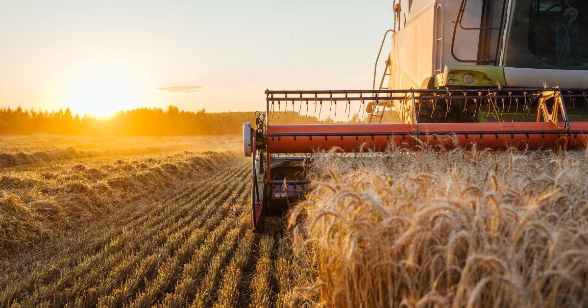 A combine harvester moves through a wheat field, clearing the land as the sun sets above the trees.