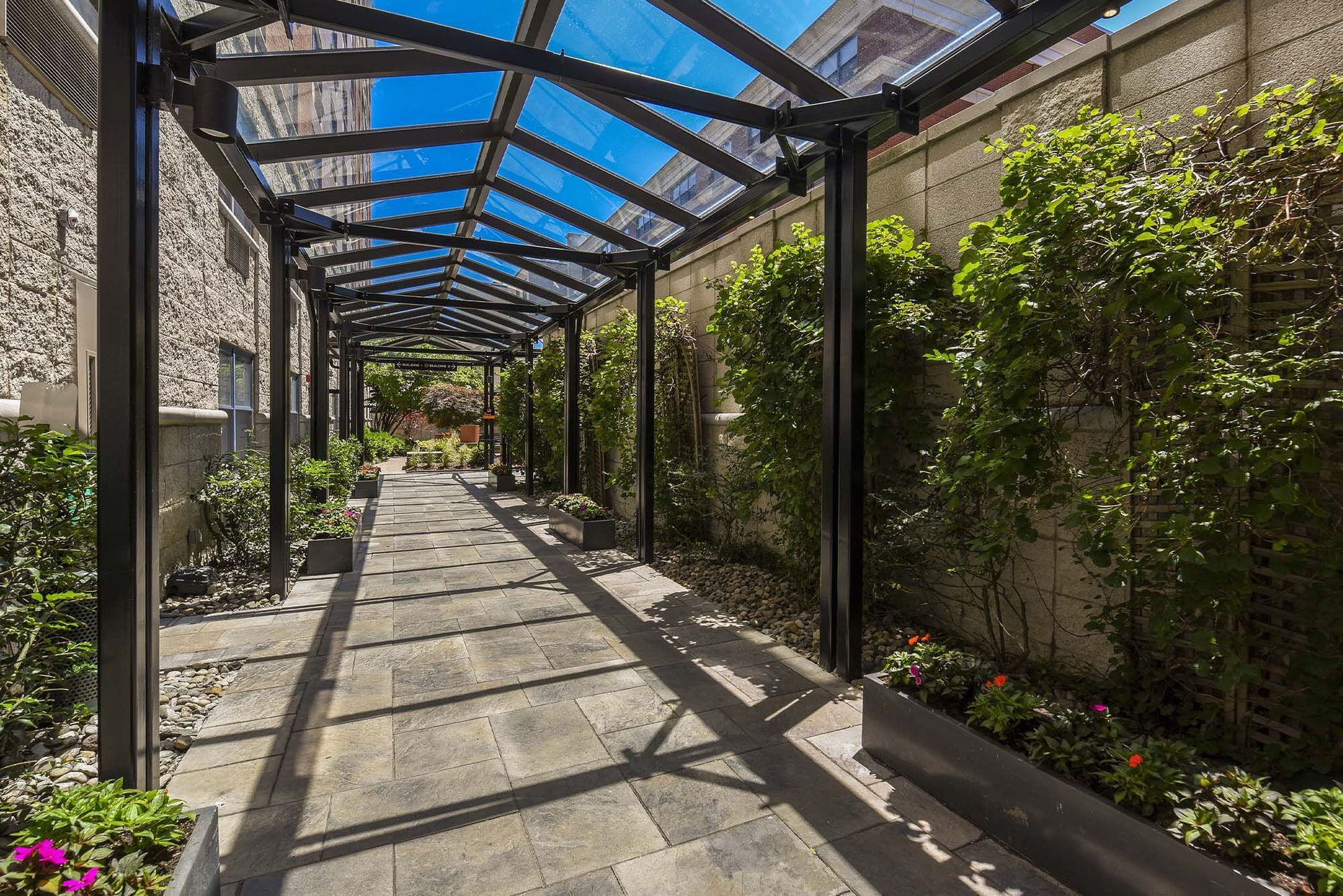 A covered walkway with a transparent roof, lined with hedges and flower boxes. The ground is paved.