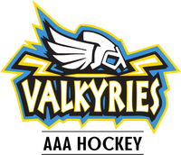Valkyries Logo