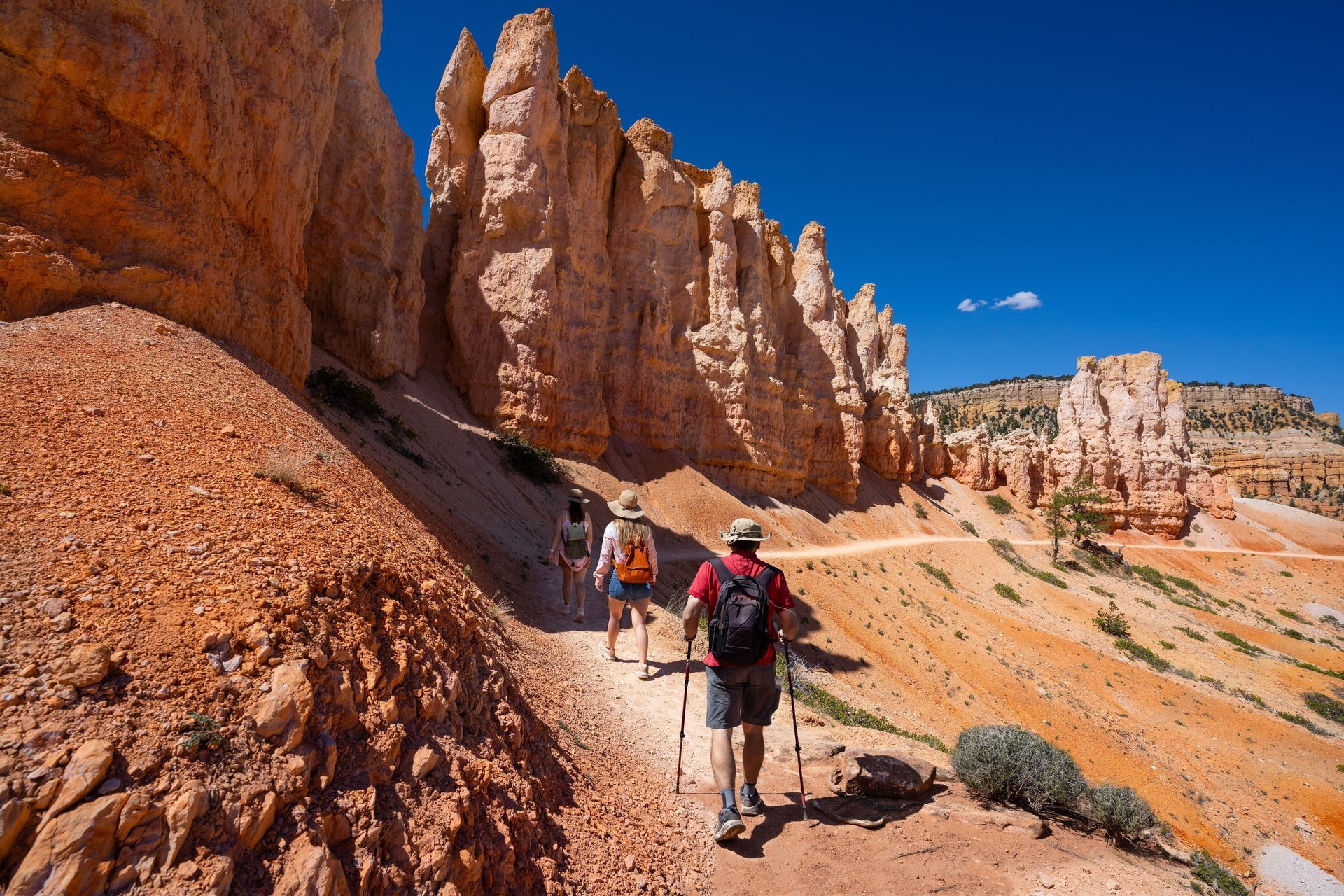 A group of people are hiking on a trail in the desert.