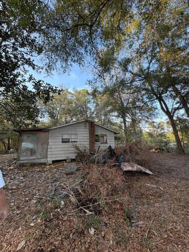 A weathered, white, single-story cabin sits amidst a forest of trees, with the ground covered in fallen brown leaves.
