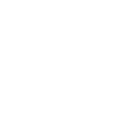 North San Gabriel Alliance