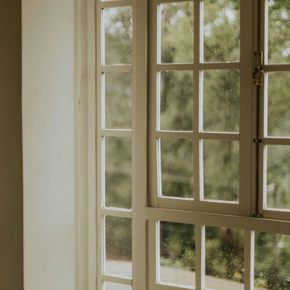 A close-up view of a multi-pane window with white frames, looking out onto a blurred, green, natural outdoor scene.