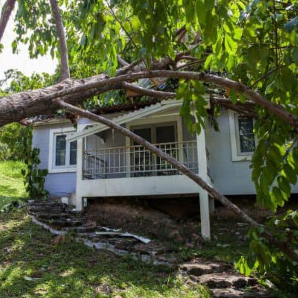 A light blue cottage damaged by a large tree that has fallen across its roof and porch.