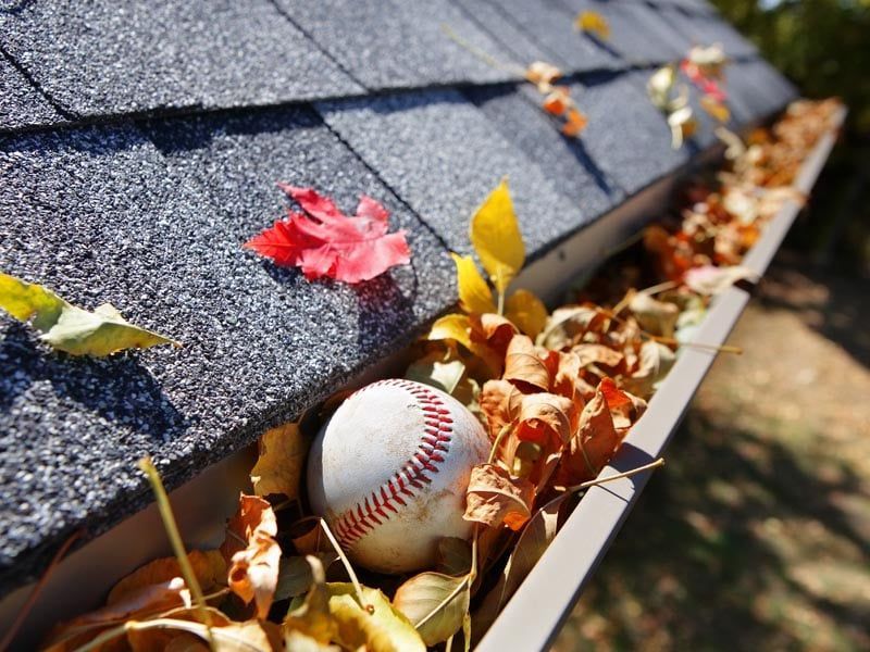 A baseball sits among autumn leaves clogging a metal house gutter along the edge of a shingled roof.