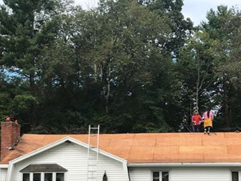 Two people stand on a residential roof covered in new plywood sheathing, next to a ladder against a white house.