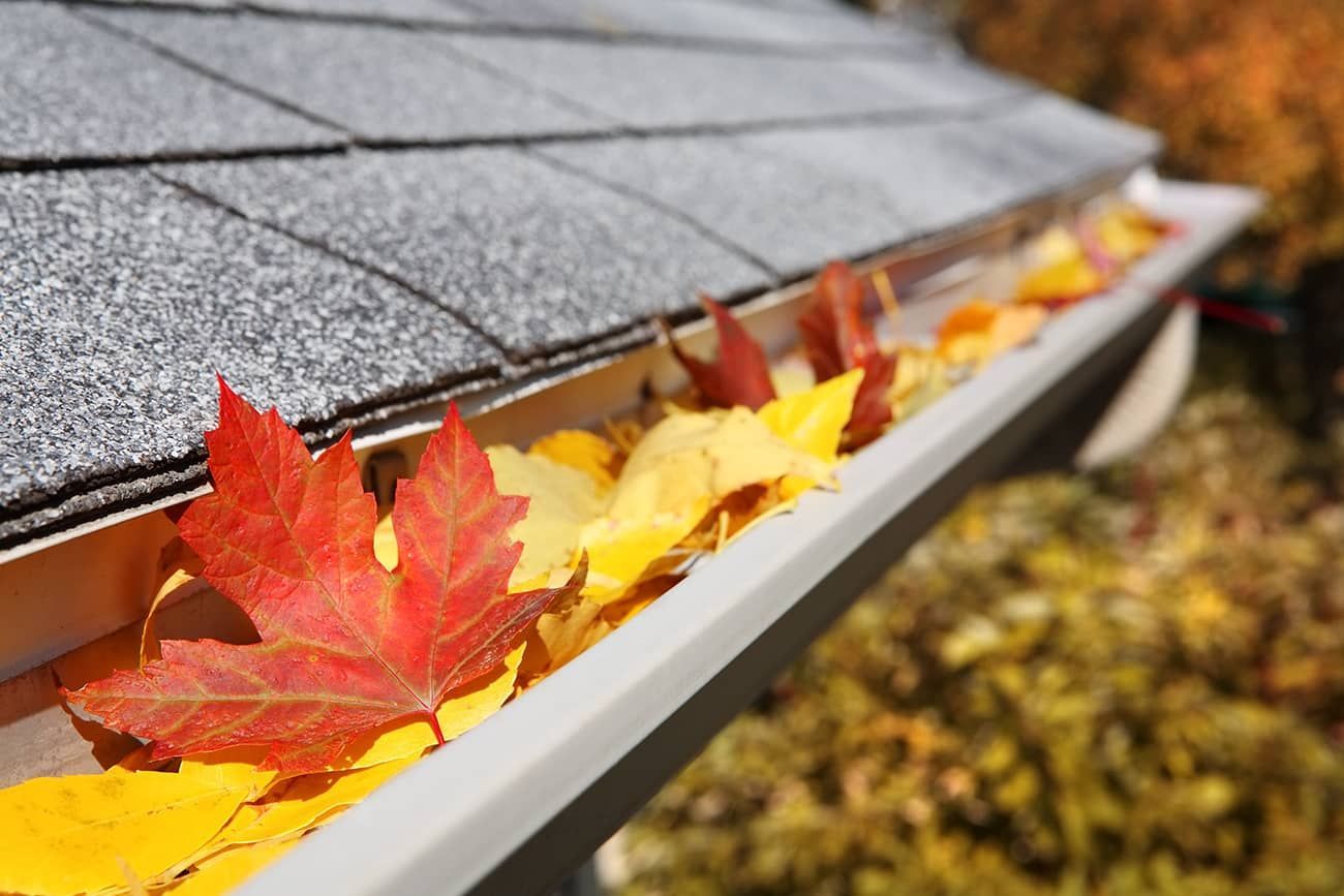 A gutter filled with leaves on the roof of a house.