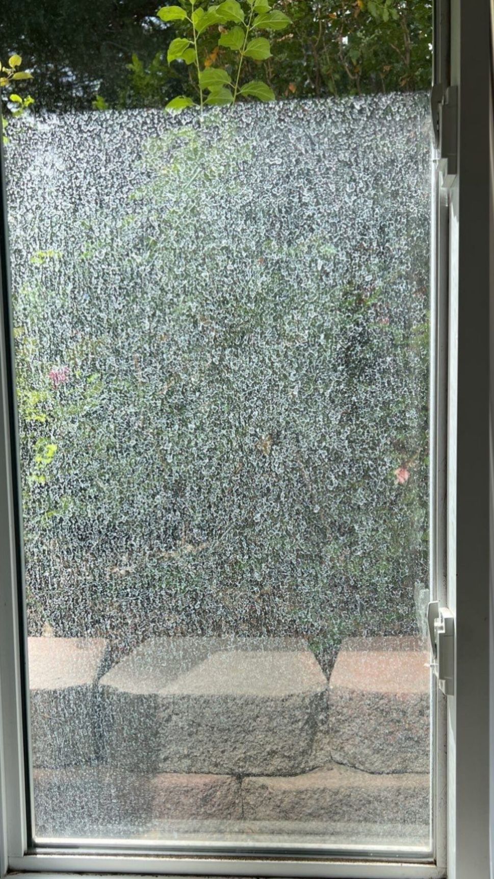 A close up of a window with a stained glass film on it.