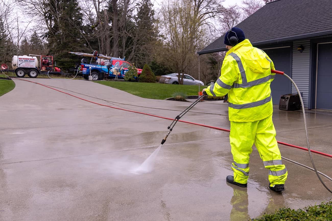 Cleaning Services 16