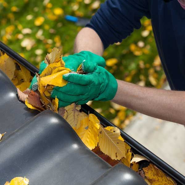 A person wearing green gloves is cleaning a gutter of leaves