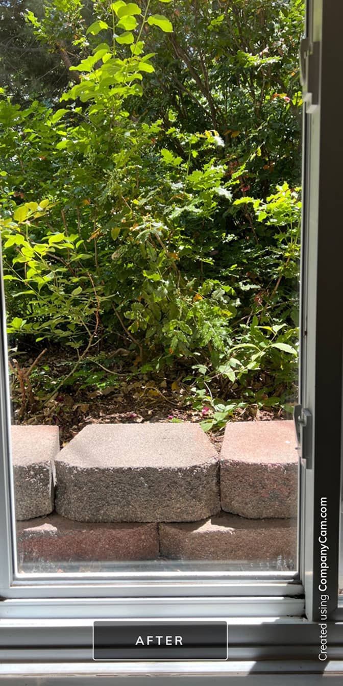 Cleaning Services 31