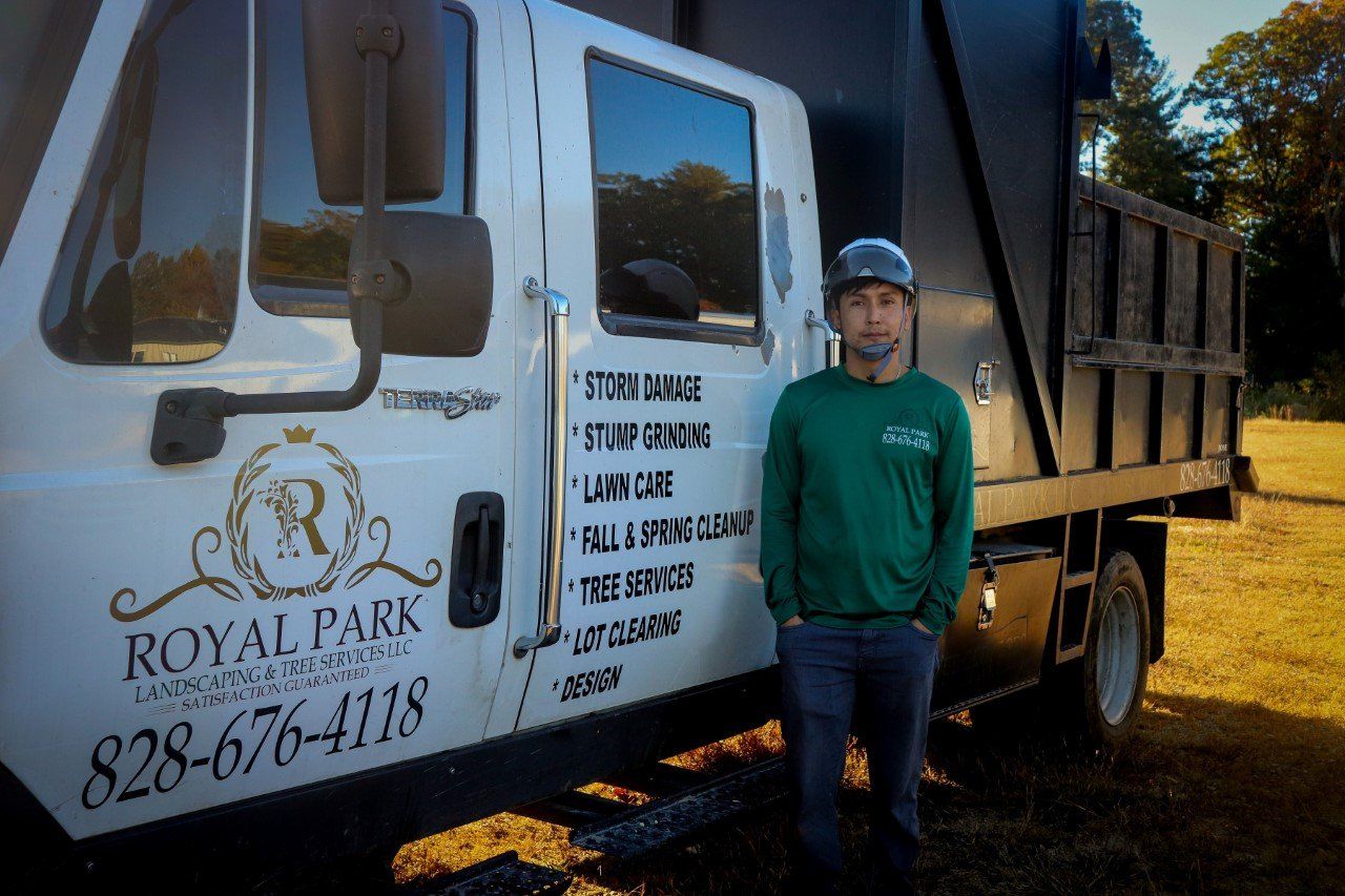 tree-trimming-hendersonville-nc-royal-park-llc