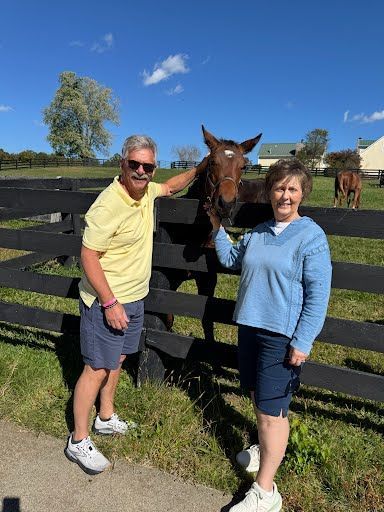 Two people with a horse at a fence on a sunny day.