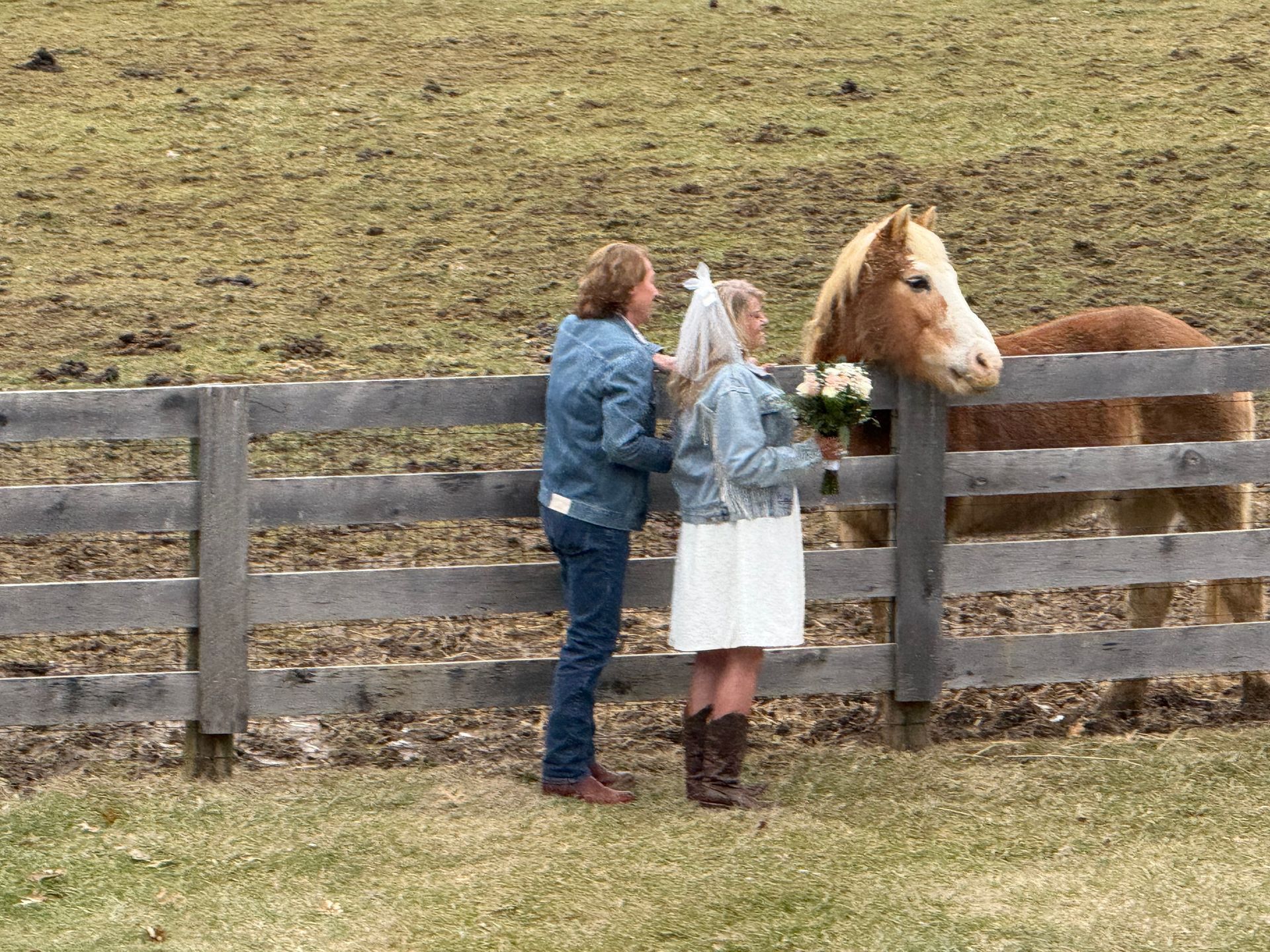 Couple in denim jackets and veil by wooden fence, horse peering over.