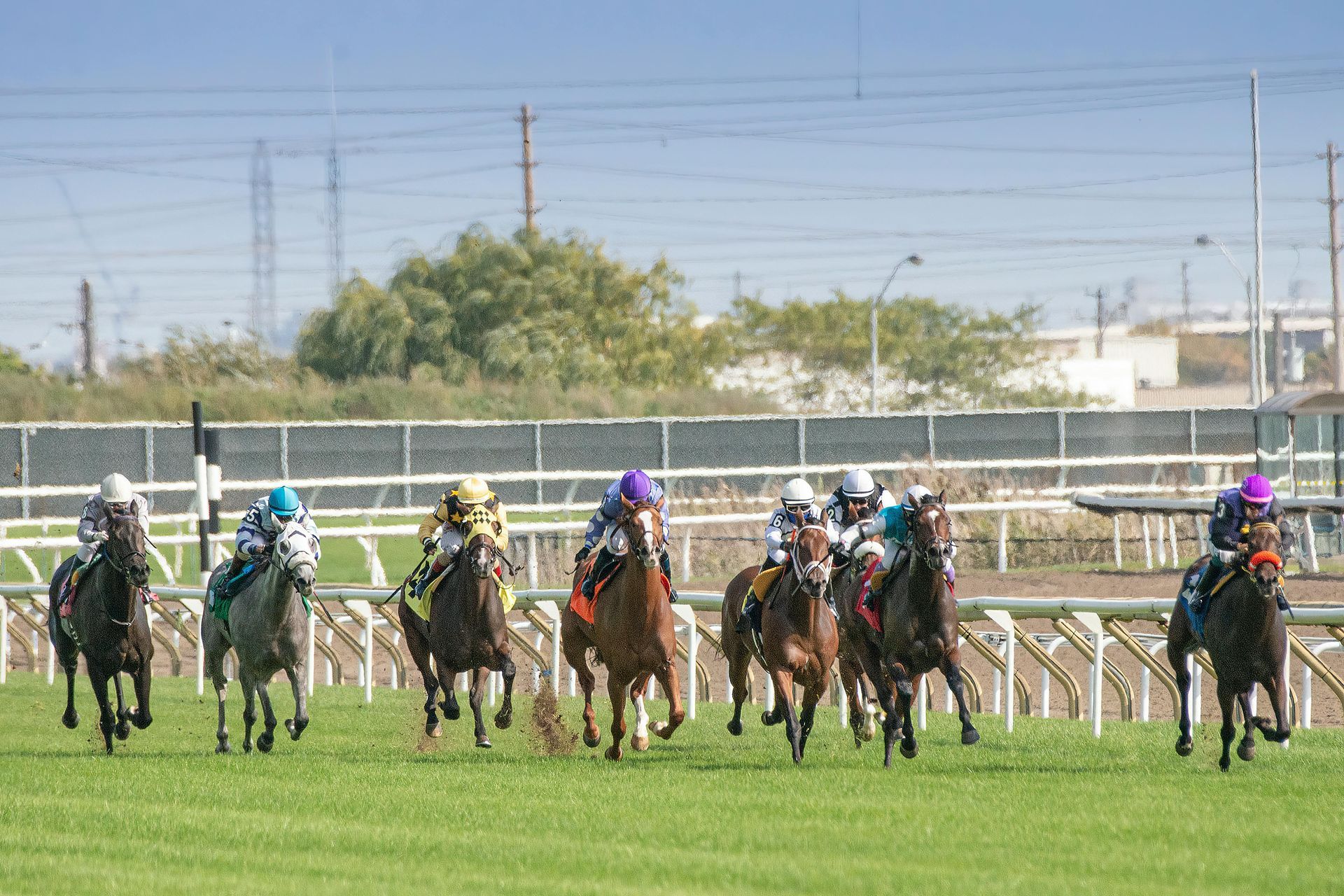A group of horses are racing on a race track.