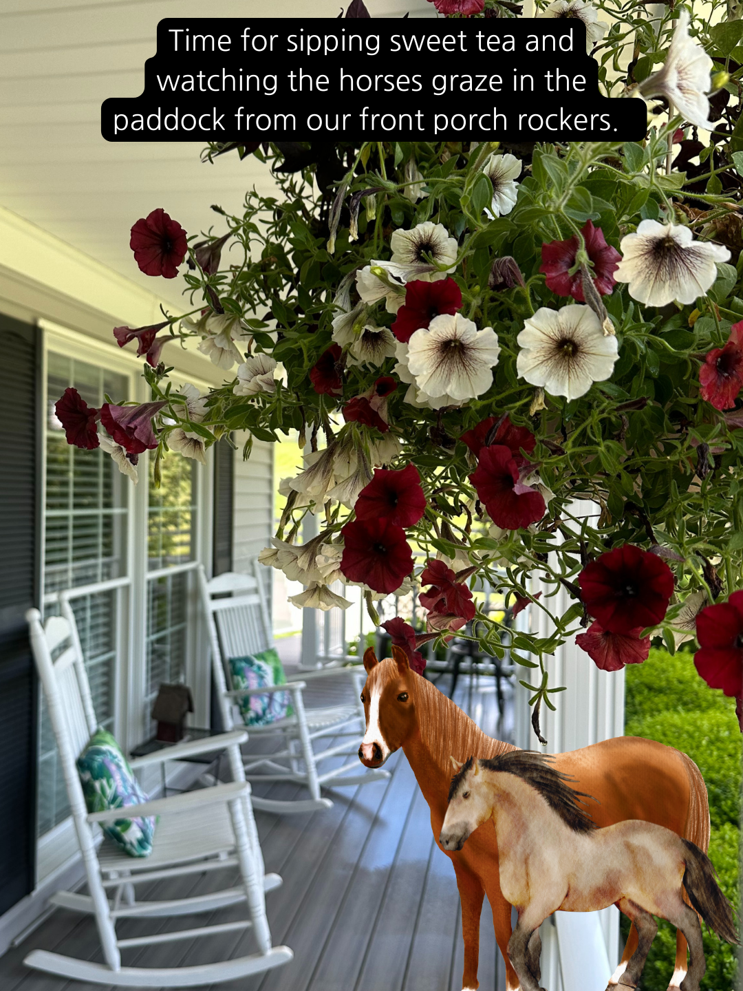 Two horses are standing on a porch next to rocking chairs and flowers.