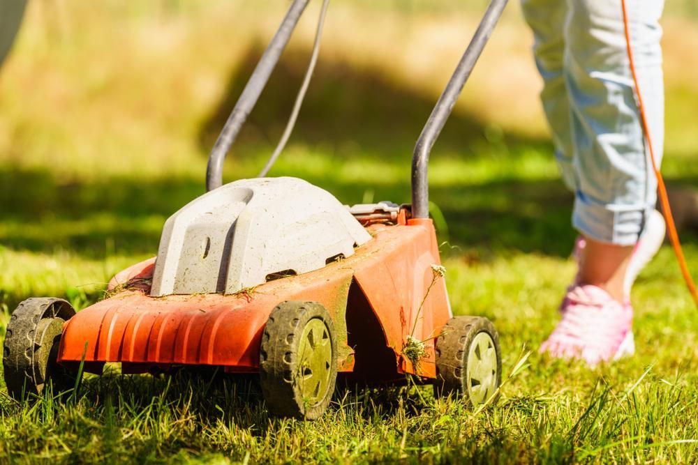 A Person Is Using A Lawn Mower To Cut The Grass — Tall Orders Port Macquarie In Thrumster, NSW