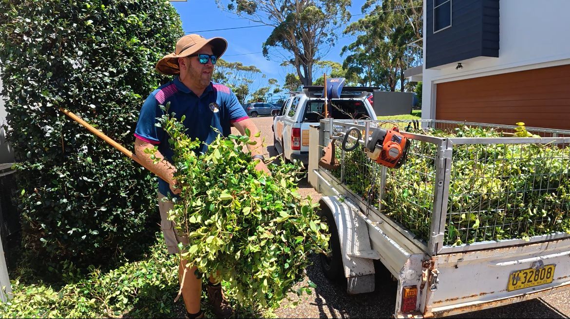 Three Bags Of Leaves Are Sitting On Top Of A Lush Green Lawn — Tall Orders Port Macquarie In Port Macquarie, NSW 