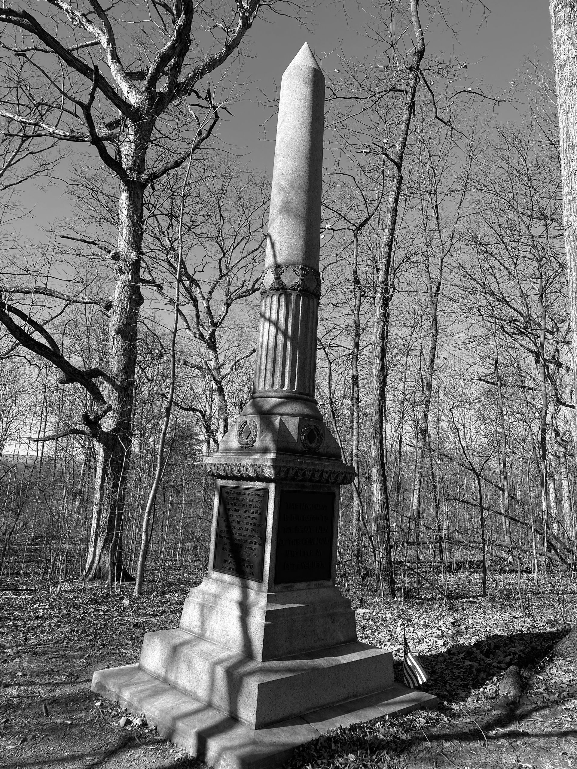 The 1st Sharpshooters monument
(Author photo)
