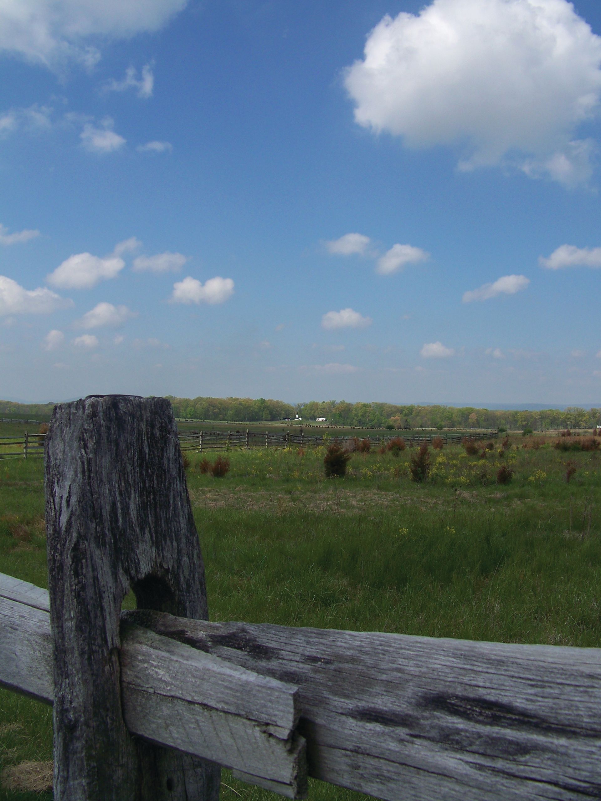 The Pickett's Charge field today (Author photo)