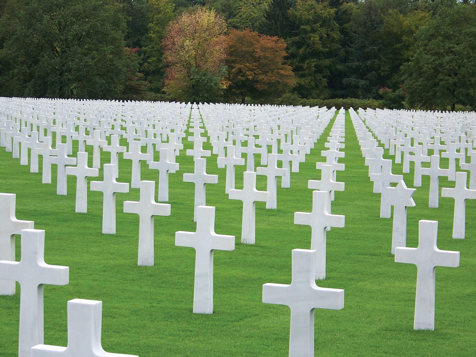American Military Cemetery, the Ardennes(Author photo)
