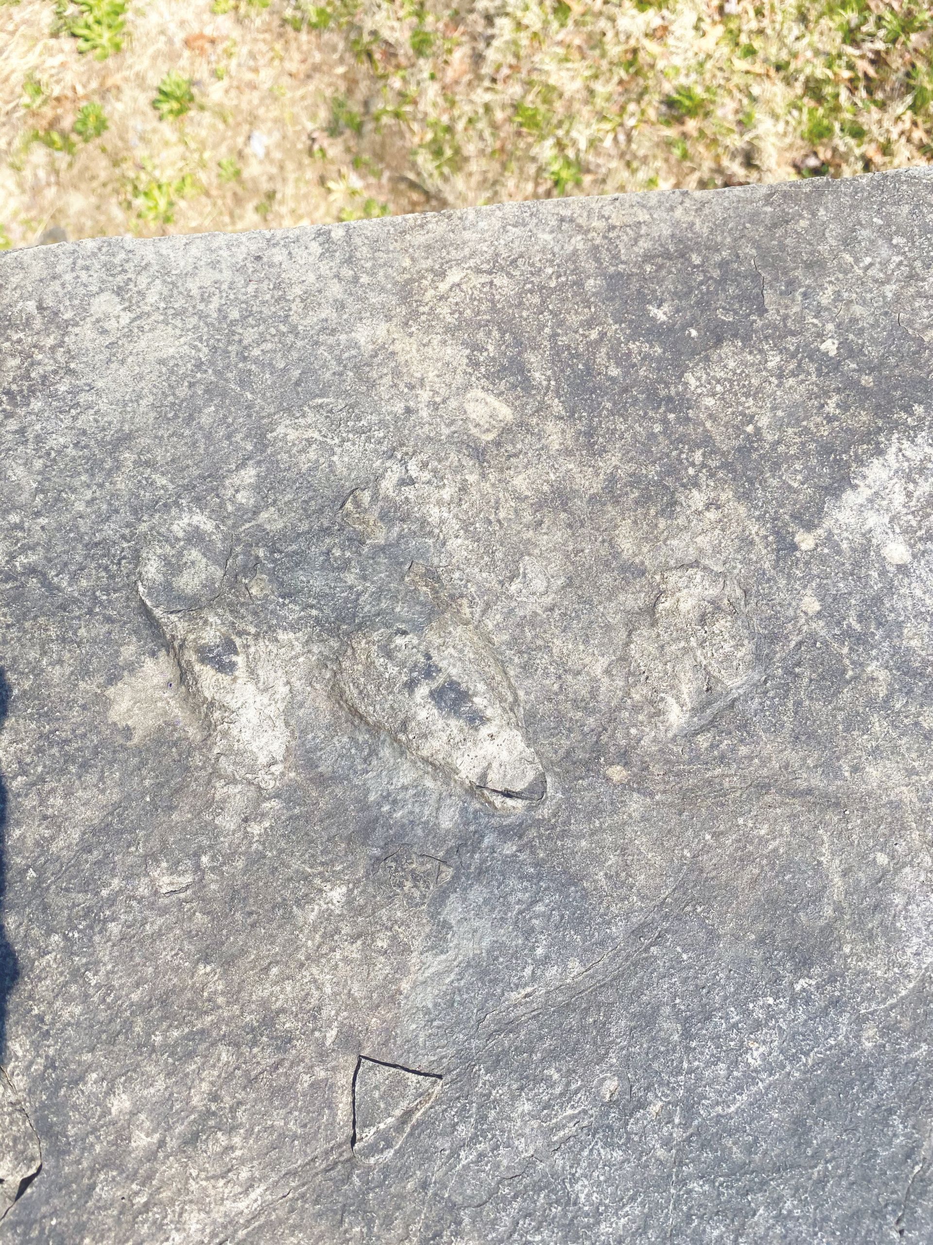 a close up of a rock with a footprint on it .