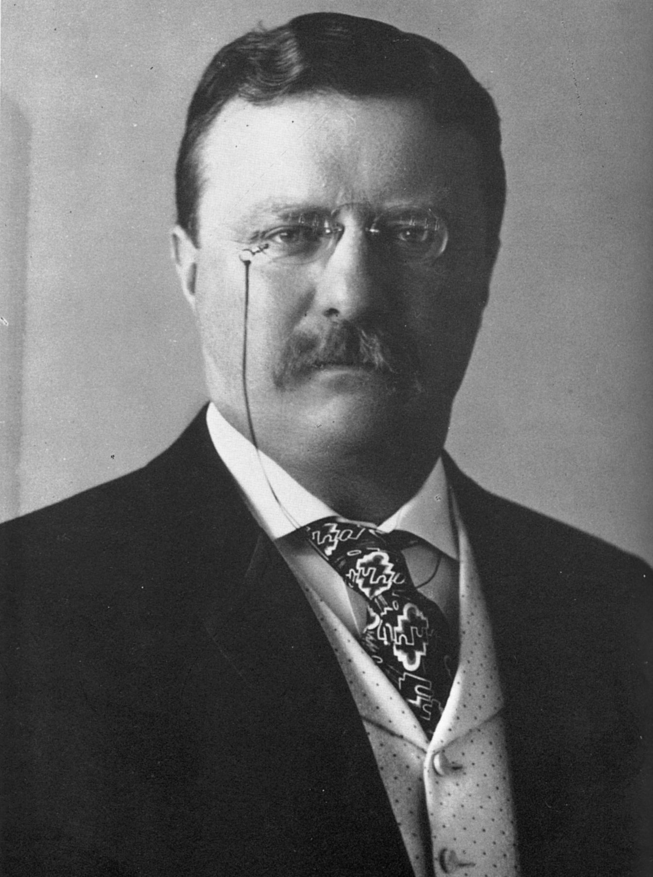 Theodore Roosevelt
(Library of Congress)