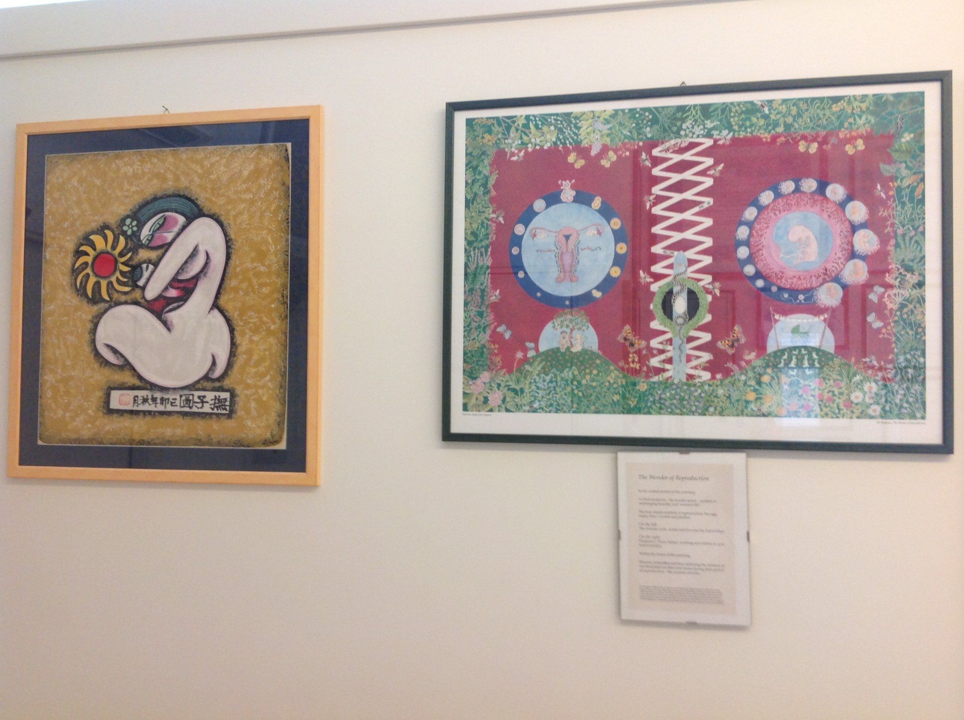 Quadri appesi in uno studio ginecologico