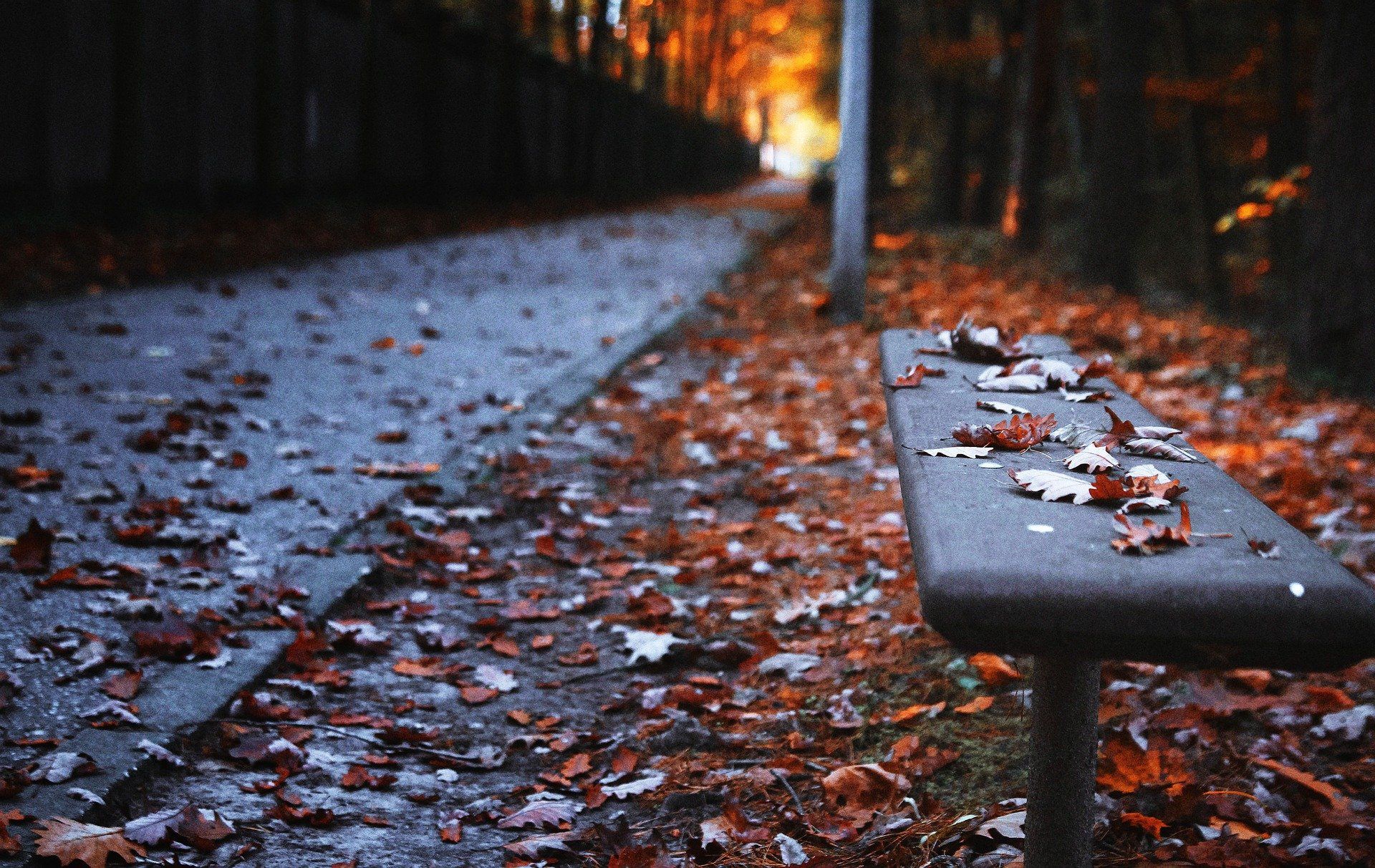 park bench health coach life coach