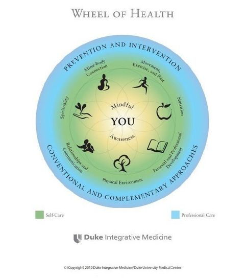 Duke Integrative Medicine Wheel of Health | Health Coaching | Life Coaching