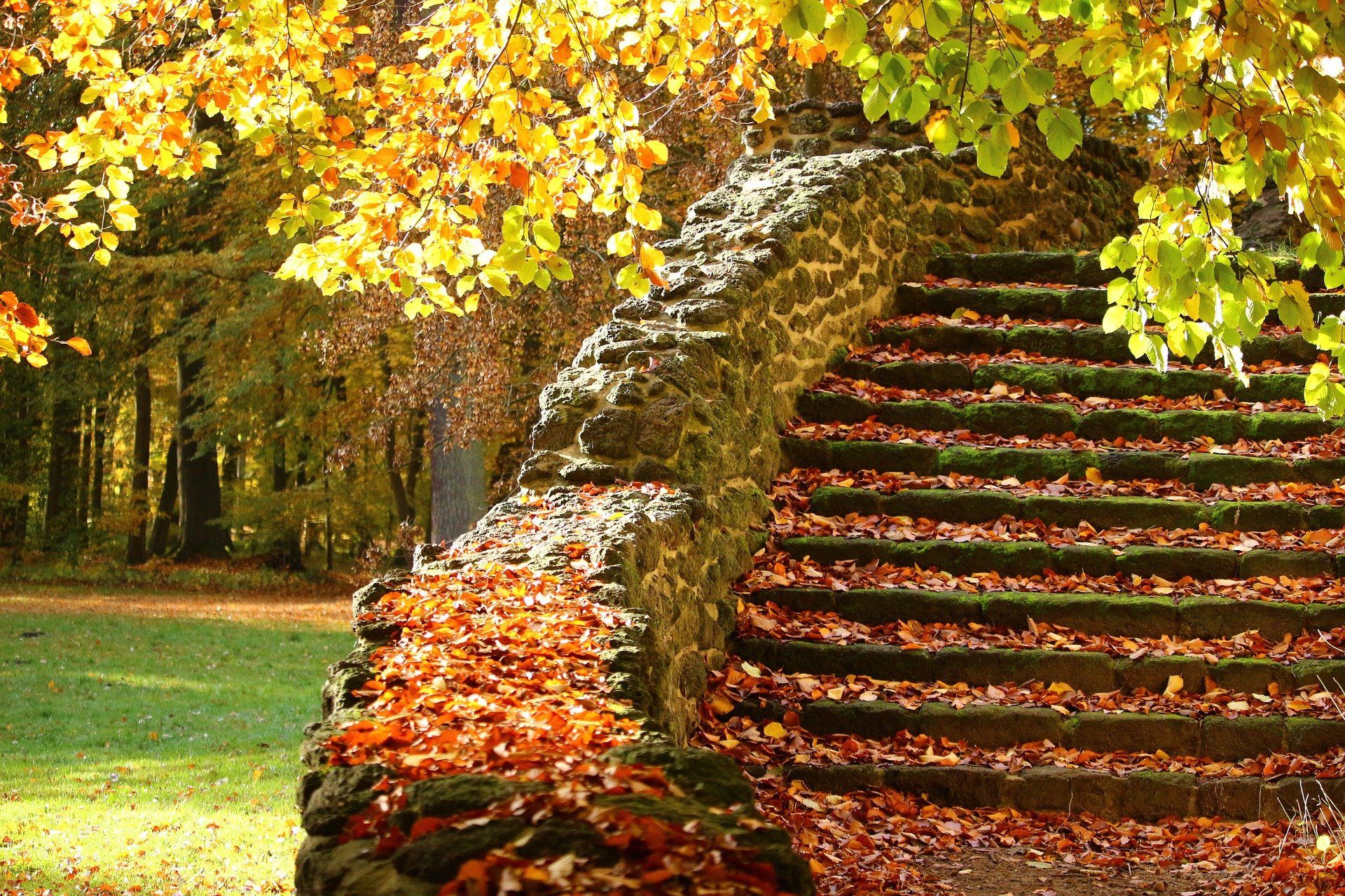 leaf covered stairs health coach life coach