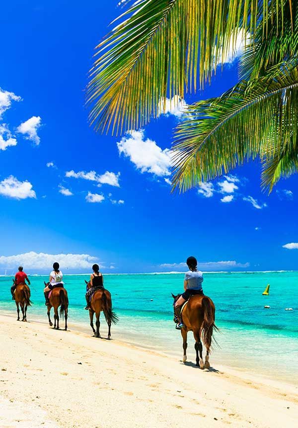 Inbound Tour Operator in Mauritius