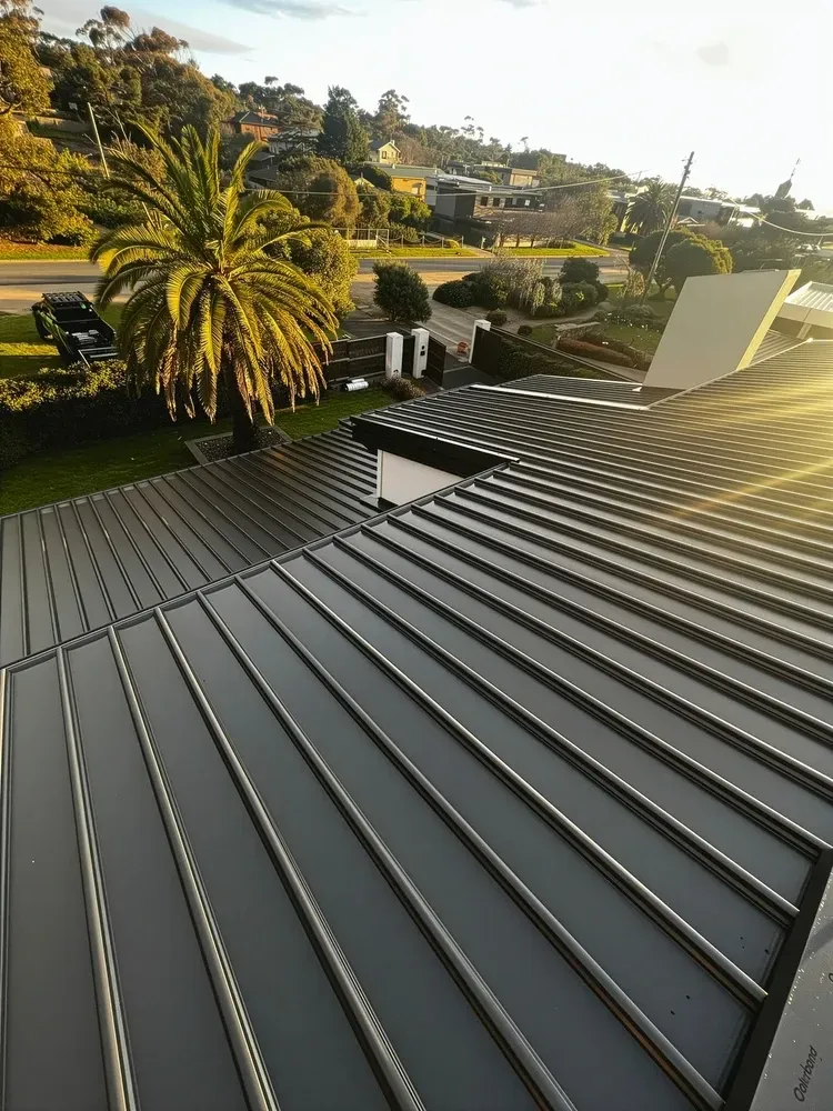View of a dark gray metal roof with ridged panels, a palm tree, and a suburban landscape in the background. — Your Craftsmen in Eleebana, NSW